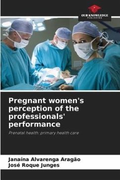 Pregnant women's perception of the professionals' performance - Alvarenga Aragão, Janaína;Junges, José Roque