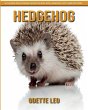 Hedgehog - Bild 1
