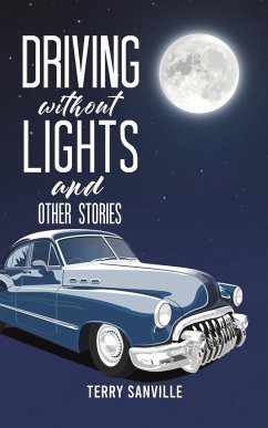 Driving Without Lights and Other Stories - Sanville, Terry