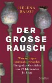 Der große Rausch (eBook, ePUB)