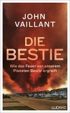 Die Bestie (eBook, ePUB)