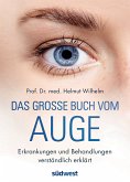 Das große Buch vom Auge (eBook, ePUB)