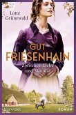 Zwischen Liebe und Skandal / Gut Friesenhain Bd.3 (eBook, ePUB)