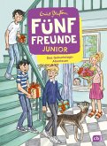 Das Geburtstags-Abenteuer / Fünf Freunde Junior Bd.10 (eBook, ePUB)