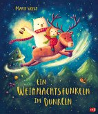 Ein Weihnachtsfunkeln im Dunkeln / Ein Funkeln im Dunkeln Bd.2 (eBook, ePUB)