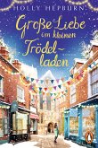 Große Liebe im kleinen Trödelladen (eBook, ePUB)