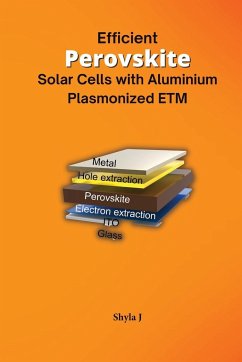 Efficient Perovskite Solar Cells with Aluminium Plasmonized ETM - Shyla, J.