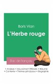 Réussir son Bac de français 2023: Analyse de L'Herbe rouge de Boris Vian