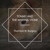 Tommy and the Wishing Stone (MP3-Download)