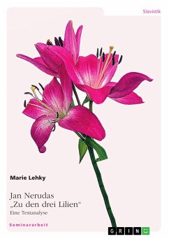 Jan Nerudas "Zu den drei Lilien". Eine Textanalyse (eBook, PDF)