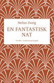 En fantastisk nat En fantastisk nat