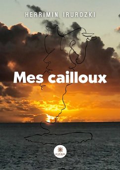 Mes cailloux - Herrimin Irurozki