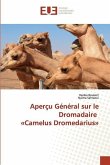 Aperçu Général sur le Dromadaire «Camelus Dromedarius»