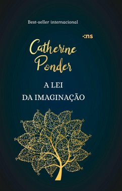 Cover A lei da imaginação (eBook, ePUB)