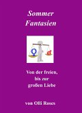 Sommernachts-Fantasie (eBook, ePUB)