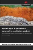 Modeling of a geothermal reservoir exploitation project