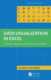 Data Visualization in Excel (eBook, ePUB)
