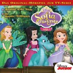 05: Abenteuer in der Wüste / Der Haustier-Wettbewerb (Disney TV-Serie) (MP3-Download)