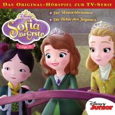 10: Der Wunschbrunnen / Die Höhle des Jaguars (Hörspiel zur Disney TV-Serie) (MP3-Download)