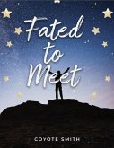 Fated to Meet (eBook, ePUB)