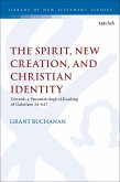 The Spirit, New Creation, and Christian Identity (eBook, PDF) The Spirit, New Creation, and Christian Identity (eBook, PDF)