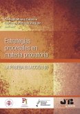 Estrategias procesales en materia probatoria (eBook, PDF)