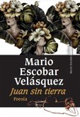 Juan sin tierra (eBook, ePUB)