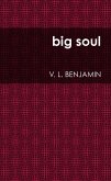 Big Soul (eBook, ePUB)