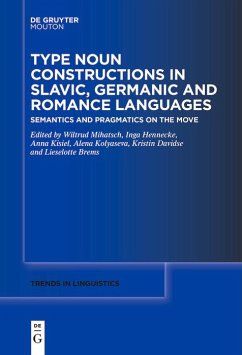 Type Noun Constructions in Slavic, Germanic and Romance Languages (eBook, ePUB)