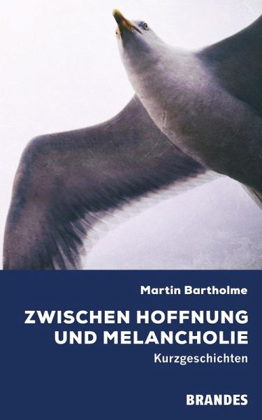 Zwischen Hoffnung und Melancholie (eBook, ePUB)