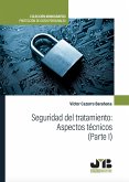 Seguridad del tratamiento: Aspectos técnicos (Parte I) (eBook, PDF)