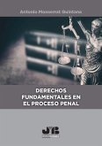 Derechos fundamentales en el proceso penal (eBook, PDF)