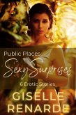 Public Places Sexy Surprises (eBook, ePUB) Public Places Sexy Surprises (eBook, ePUB)