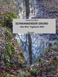 Schwankender Grund (eBook, ePUB) - Beci, Veronika