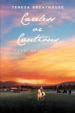 Careless or Cautious (eBook, ePUB)