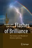 Flashes of Brilliance (eBook, PDF)