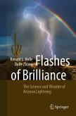 Flashes of Brilliance (eBook, PDF)