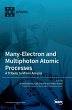 Many-Electron and Multiphoton Atomic... - Bild 1