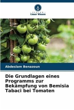 Die Grundlagen eines Programms zur Bekämpfung von Bemisia Tabaci bei Tomaten - Benazoun, Abdeslam