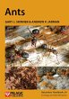 Ants (eBook, ePUB) - Bild 1