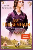 Zwischen Liebe und Skandal / Gut Friesenhain Bd.3