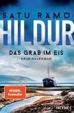 Das Grab im Eis / Hildur Bd.2