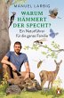 Warum hämmert der Specht? - Bild 1