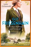 Zwischen Hoffnung und Vernunft / Gut Friesenhain Bd.2