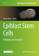 Epiblast Stem Cells - Bild 1