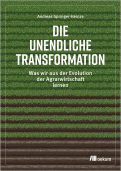 Die unendliche Transformation - Springer-Heinze, Andreas