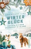 Winterglück auf dem kleinen Pferdehof in Island (eBook, ePUB)