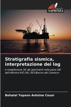 Stratigrafia sismica, interpretazione dei log - Antoine Cesar, Behalal Yopson