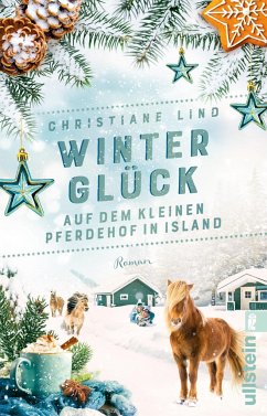 Winterglück auf dem kleinen Pferdehof in Island - Lind , Christiane