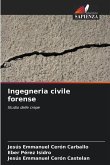 Ingegneria civile forense